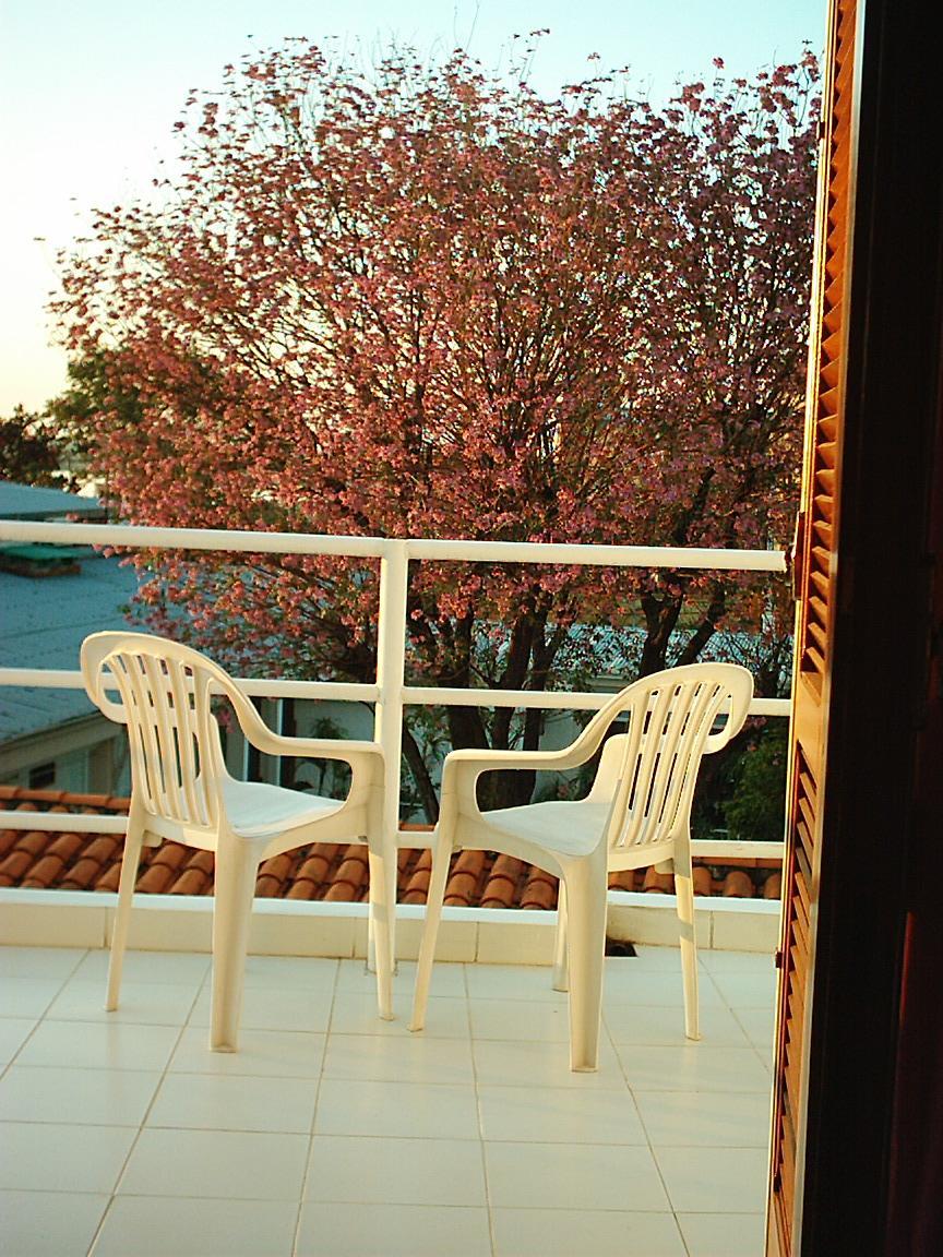אסונסיון Hotel Palmas Del Sol מראה חיצוני תמונה